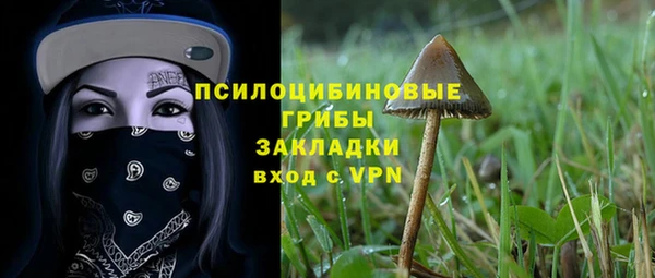 spice Заводоуковск