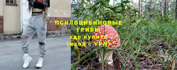 альфа пвп Заволжск