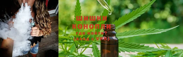 spice Заводоуковск
