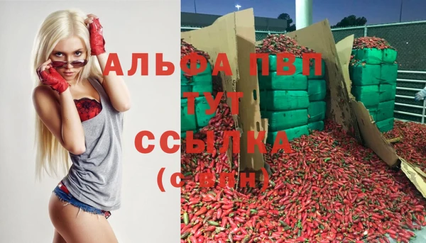 spice Заводоуковск