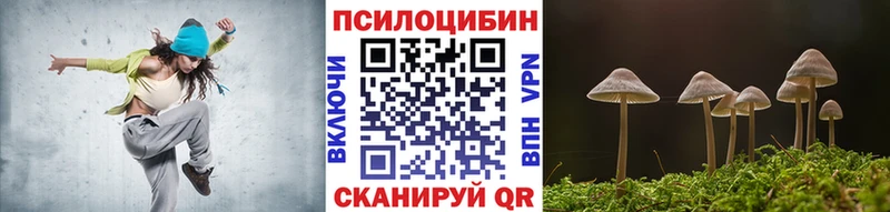 где найти   Керчь  Галлюциногенные грибы Magic Shrooms 